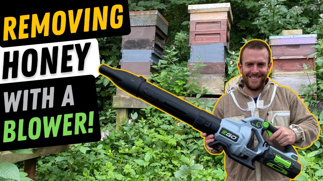 Clearing Honey From A Beehive With A Garden Blower!