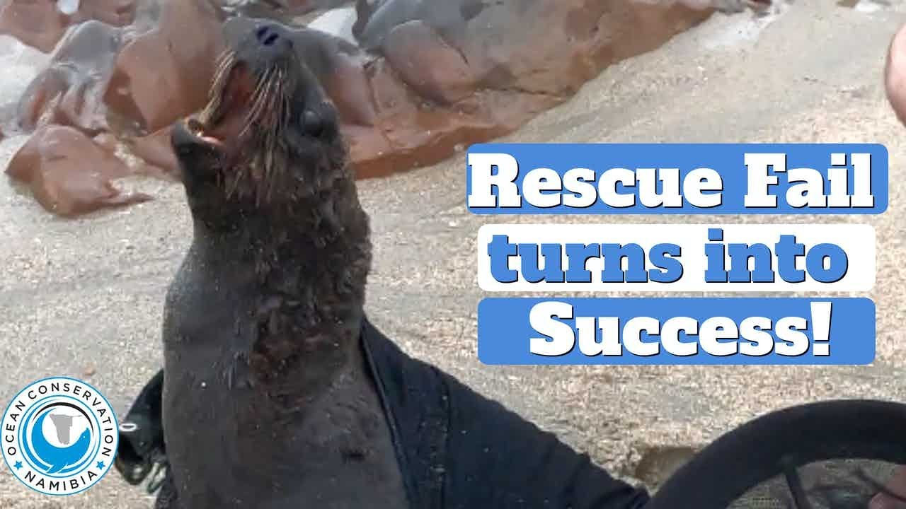 Failed Rescue Turns into Rescue Win