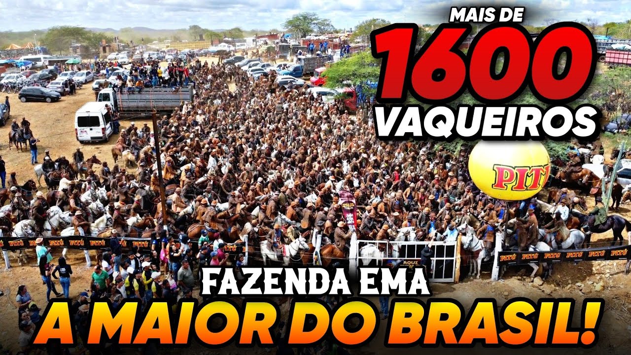 9ª PEGA DE BOI DA FAZENDA EMA. 2025