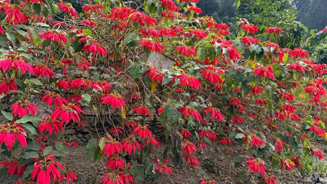 कति गंभीर कति अपार