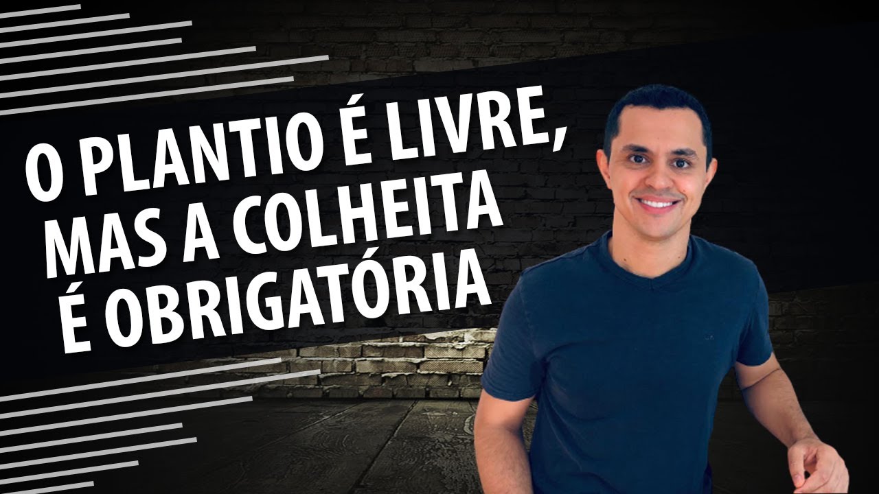 O PLANTIO É LIVRE, MAS A COLHEITA É OBRIGATÓRIA