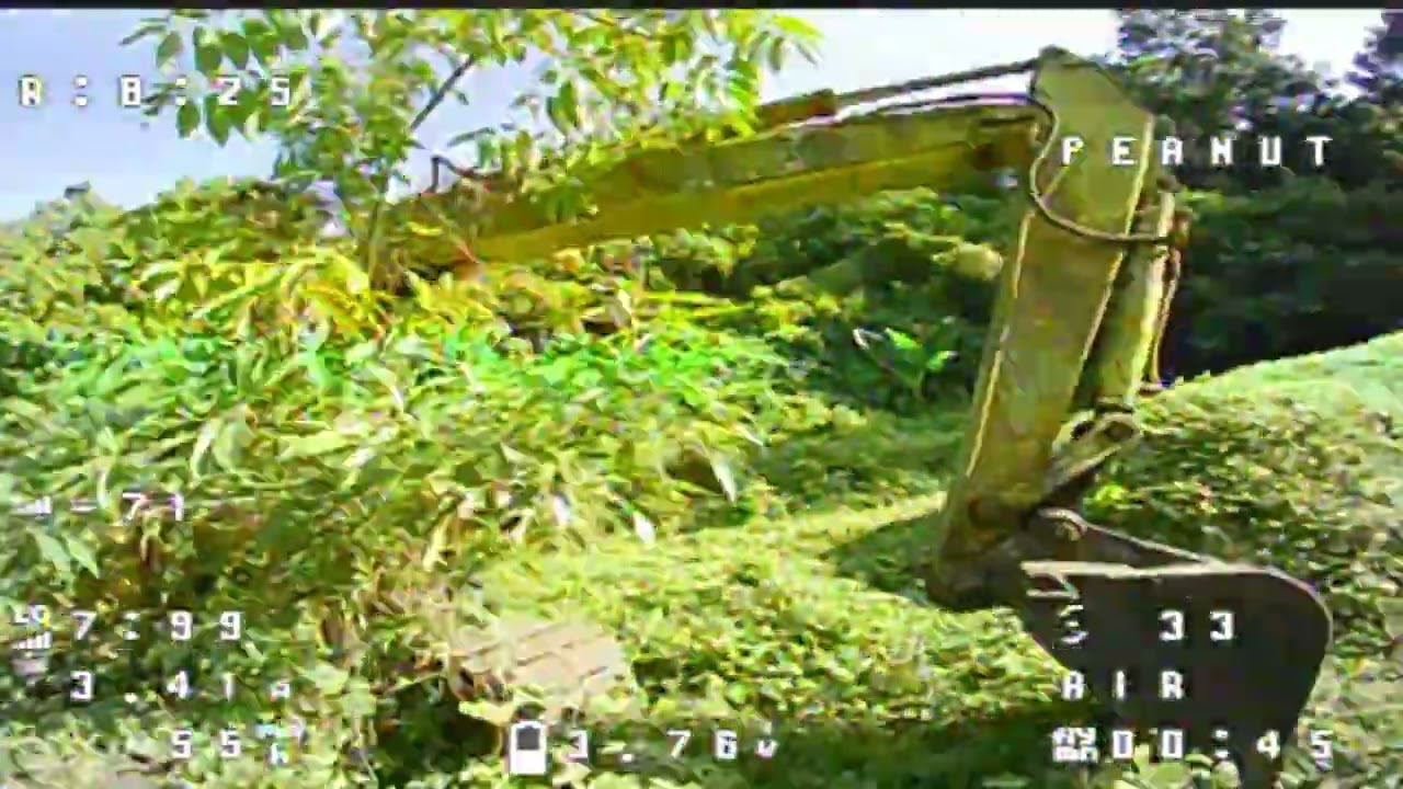 bridge