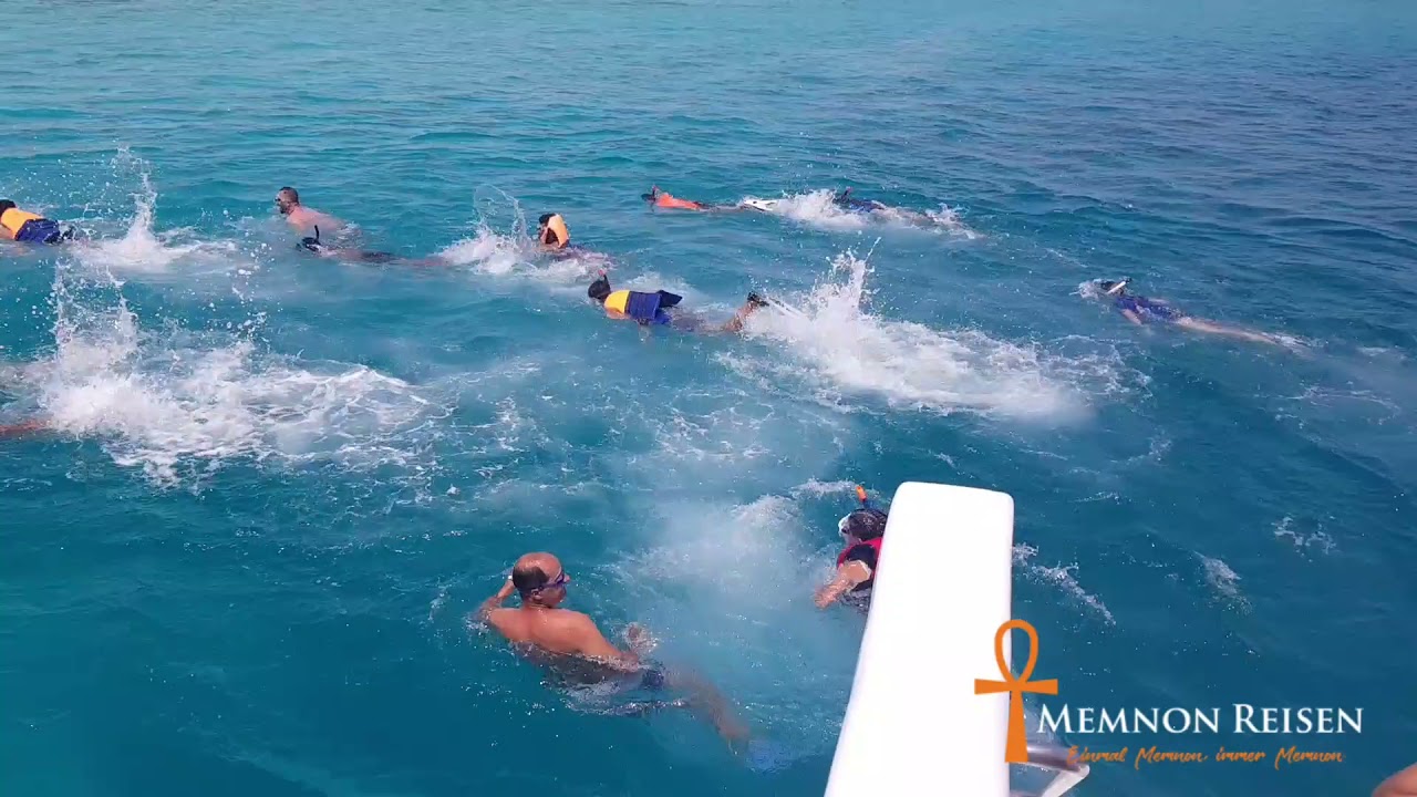 Delfinschwimmen Hurghada | Dolphin Tour Hurghada