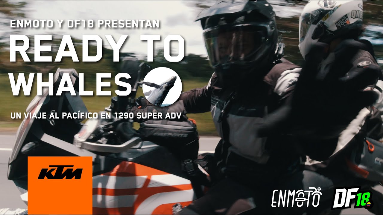 ¡En KTM 1290 hacia el Pacífico! READY TO WHALES - EnMoto - DF18