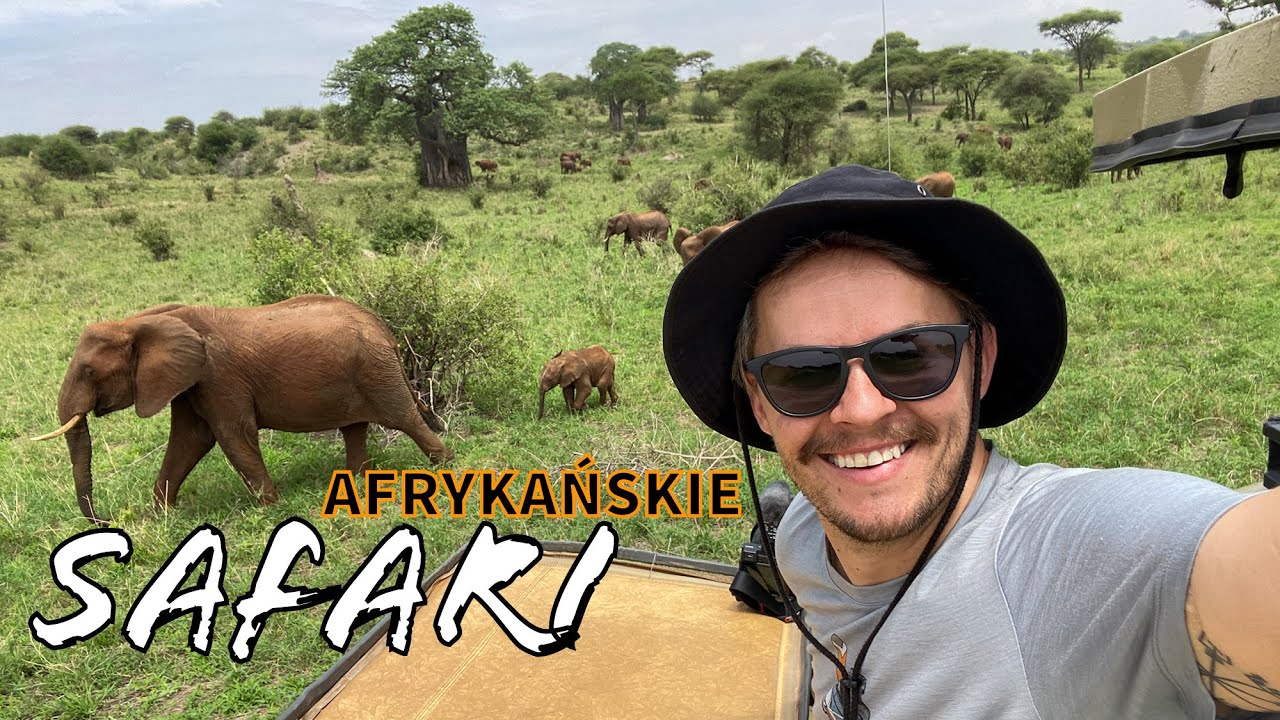 🦁 Jak wygląda prawdziwe SAFARI? GDZIE BĄDŹ z Serengeti, Ngorongoro i Tarangire 🐘🦏🦒🦛🦓