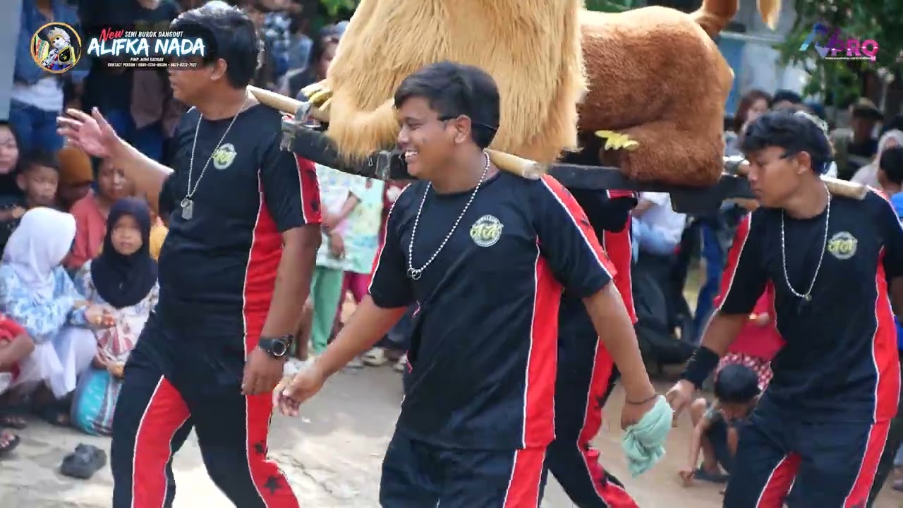 16. atraksi gotongan - burok alifka nada live desa cipetir -lebakwangi- kuningan 05 des 2024