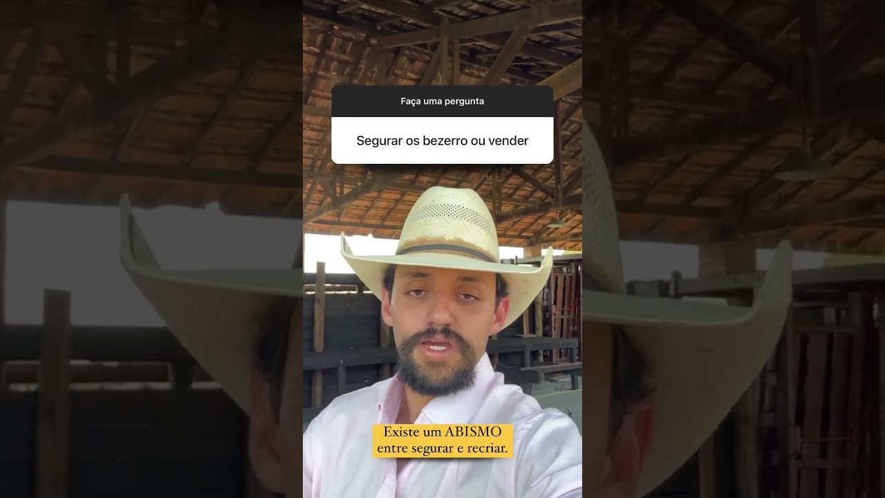 Parte 01: Segurar os bezerros ou vender: qual &eacute; a melhor decis&atilde;o?
