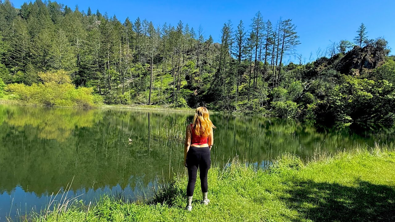 🌳SOLO BACKPACKING HOOD MOUNTAIN | MERGANSER POND | SONOMA COUNTY🍃