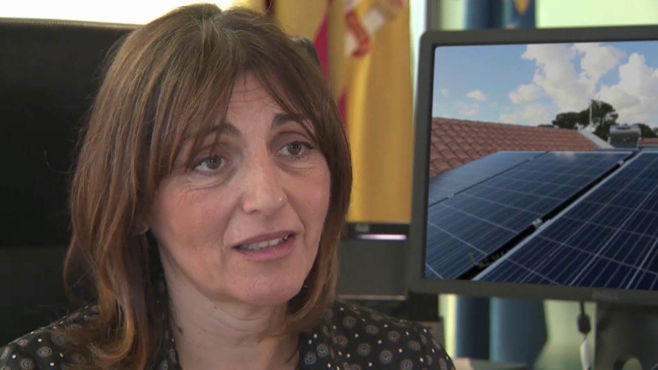 Nuclears amb data de caducitat - Punt docs