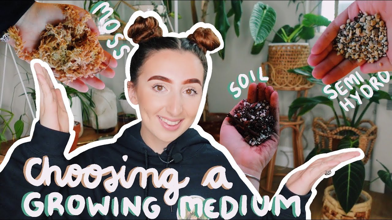 SOIL, SPHAGNUM or SEMI-HYDRO?! Choosing the Perfect Growing Medium...