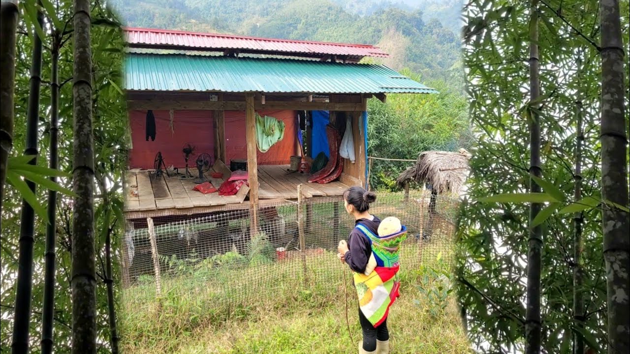 While searching for bamboo shoots deep in the forest, they stumbled upon a long-abandoned house.