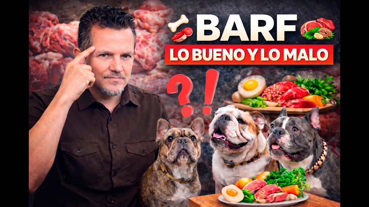 Dieta barf para perros que es?