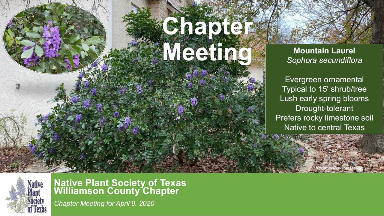 Apr 2020 Meeting: Nature Photography w/Steve Schwartzman