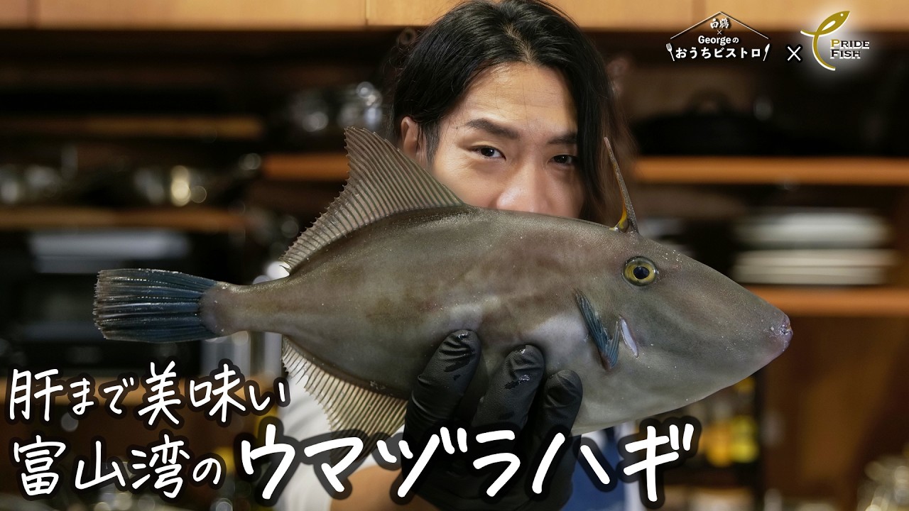 さっぱり白身に濃厚な肝を重ねる｜富山湾のウマヅラハギをハーブパン粉焼きで最高の肴に