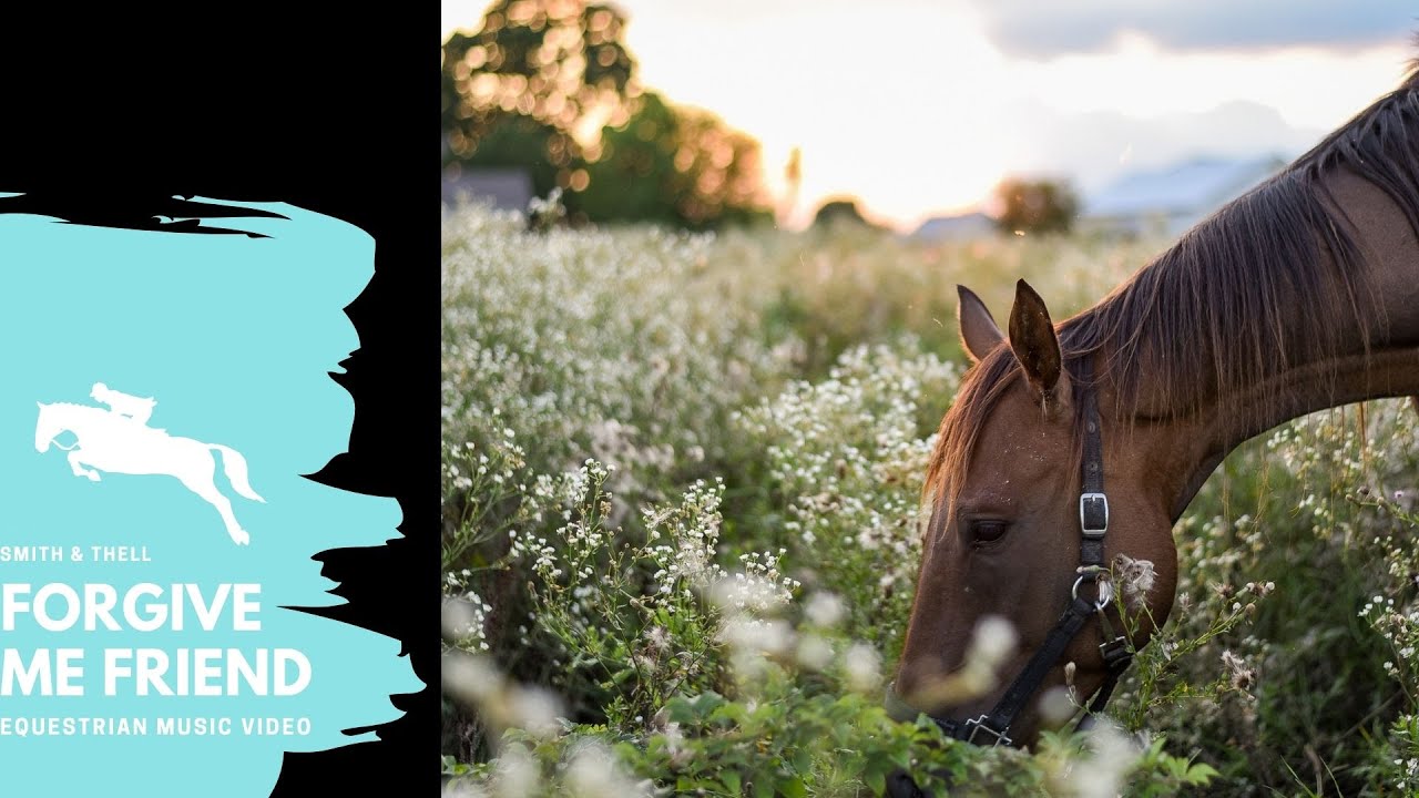 Forgive me friend || Equestrian Music Video