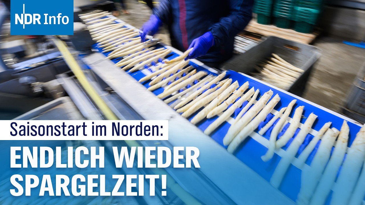 Spargelstart im Norden: Erste Ernte trotz hoher Preise | NDR Info