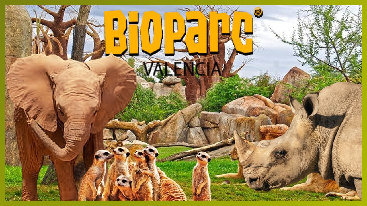 🐘BIOPARC VALENCIA🐘 | Zoo-inmersión | De los mejores zoos de Europa 2023