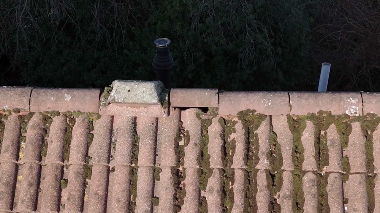 Roof Inspection