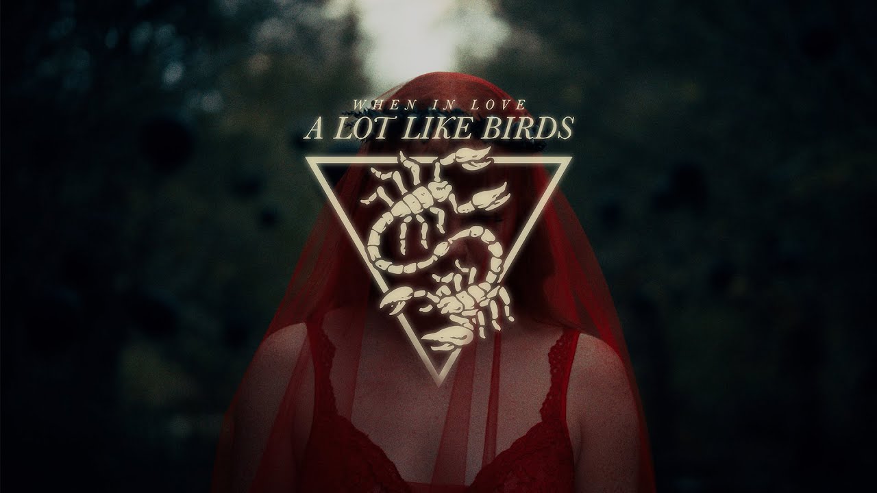 A Lot Like Birds - 