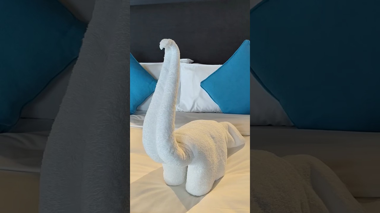 towel folding animal||towel art for design