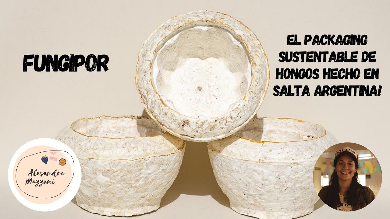 Fungipor: el packaging sustentable hecho con HONGOS y creado en SALTA, ARGENTINA!