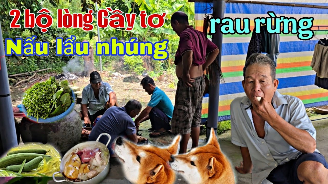 2 bộ lòng Cầy tơ nấu lẩu, thêm một rổ rau rừng. Món này (đúng bài ah7 Điều.).
