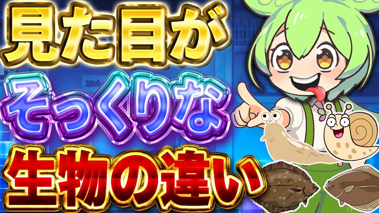コイツら一体何が違うのか！？違いを徹底解説！【総集編】【ずんだもん＆ゆっくり解説】