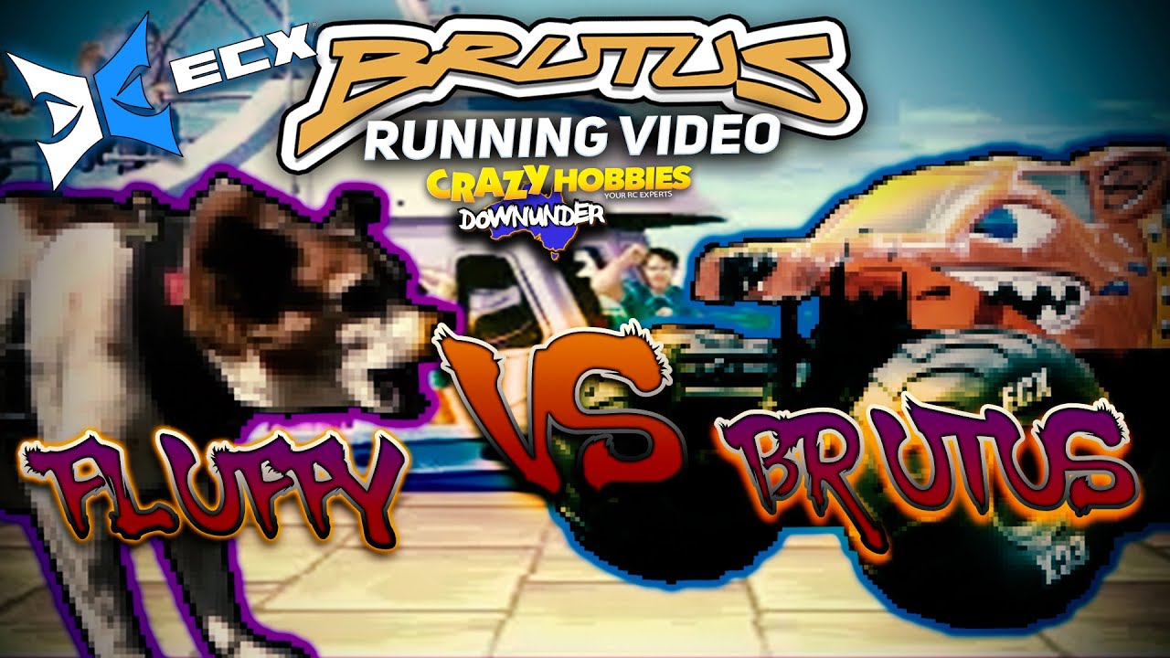 ECX BRUTUS 2WD MONSTER TRUCK - RUNNING VIDEO
