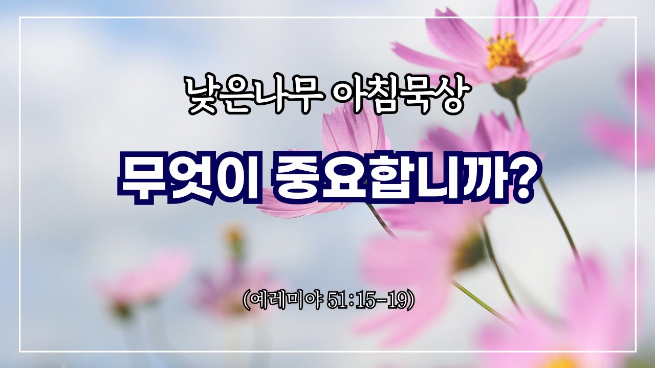 [낮은나무 아침묵상] _무엇이 중요합니까 _예레미야 51:15-19 _신원동 낮은나무교회