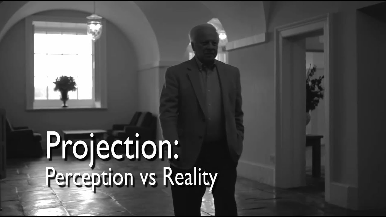 Projection:  Perception vs Reality
