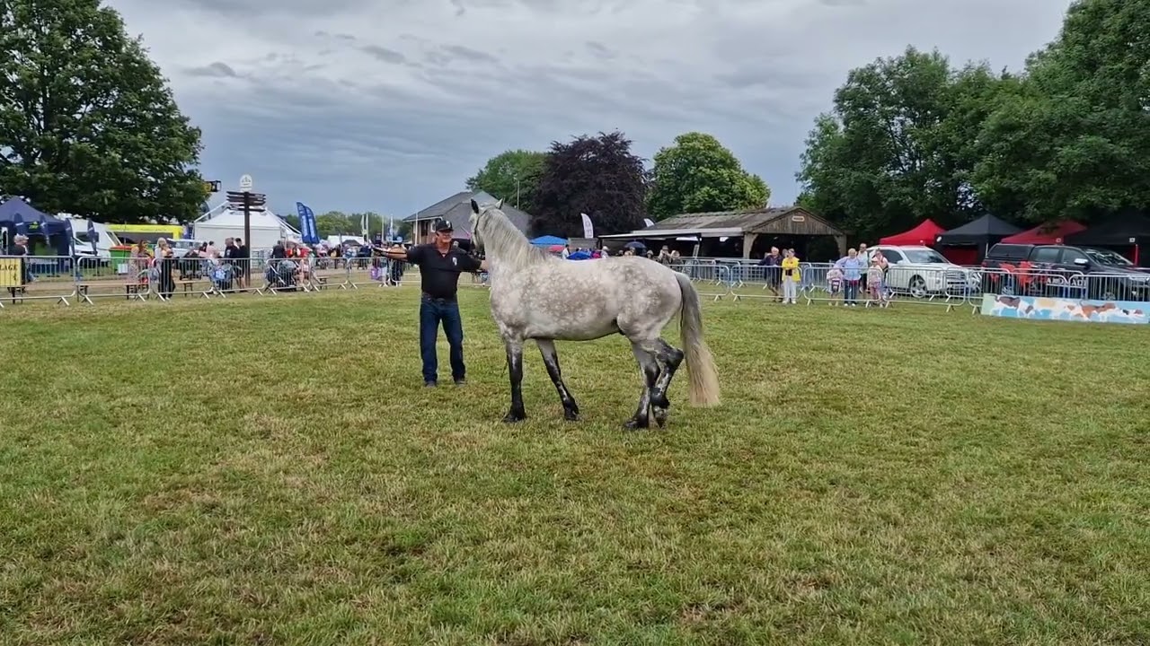 Kent County Show Sunday Demonstration