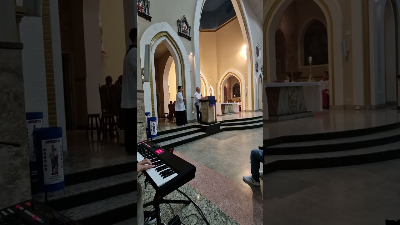 Salmo 50(51) Piedade ó Senhor tende piedade, pois pecamos contra vós.
