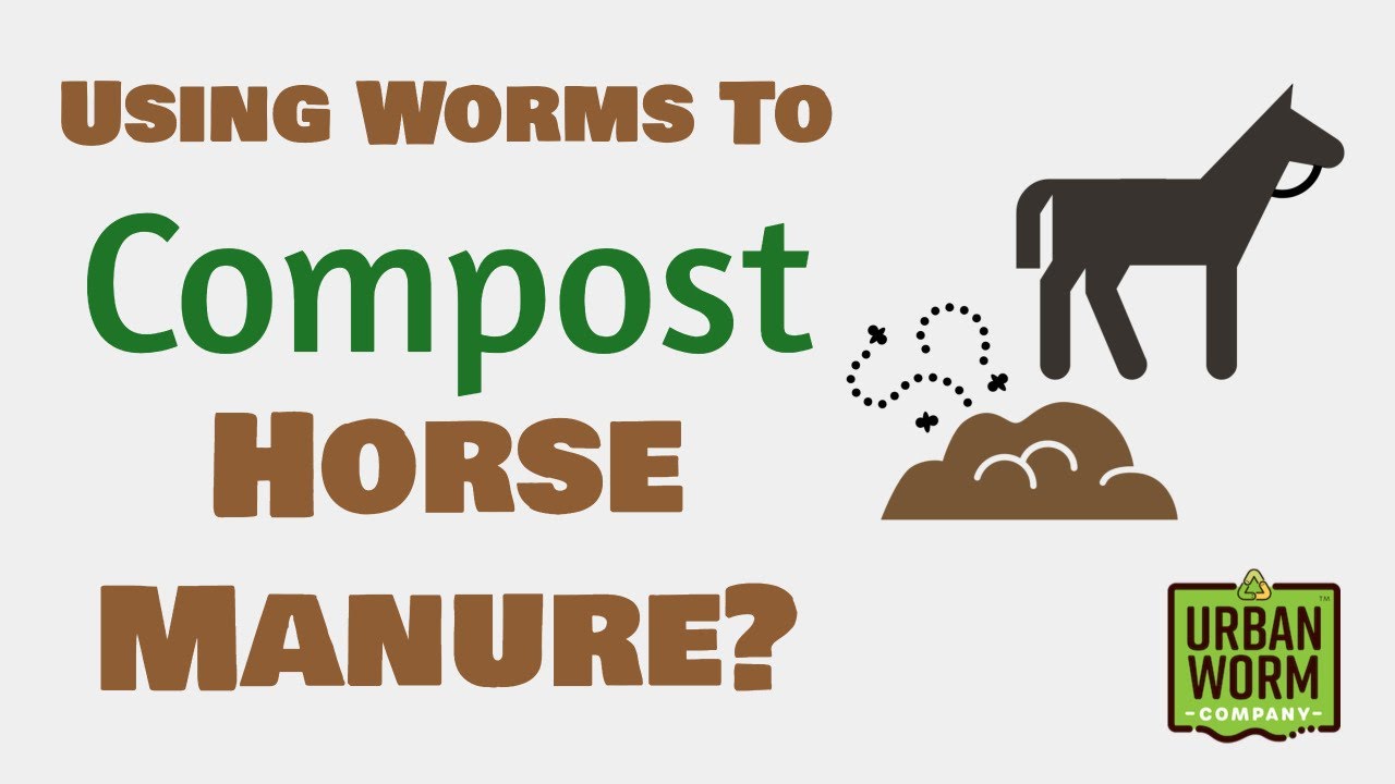 Vermicomposting Horse Manure: Is It a Good Idea?