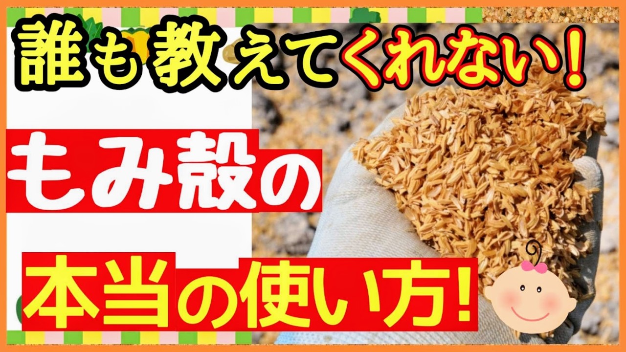もみ殻は最強資材！土壌改良剤にも最適な籾殻の本当の魅力～初心者・家庭菜園～