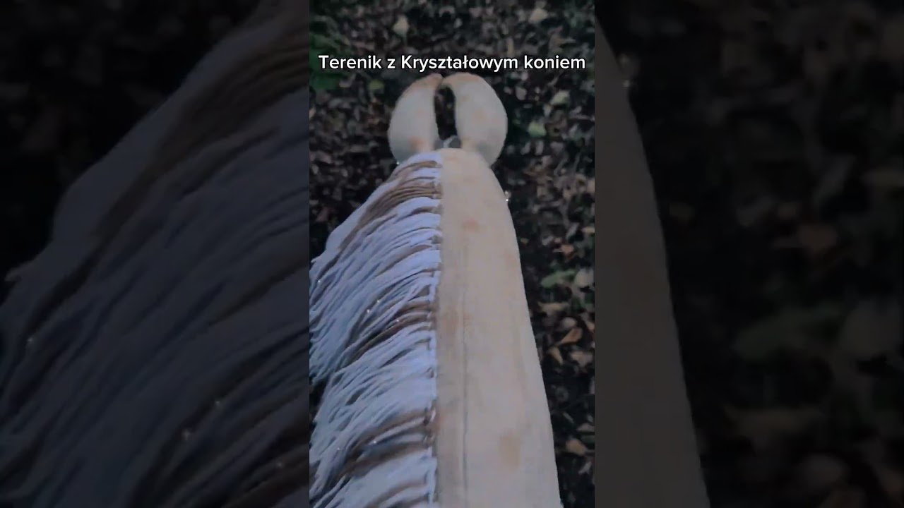 nowy koń to Aqua🐴🌊🫧 #horse #hobbyhorse #schorts