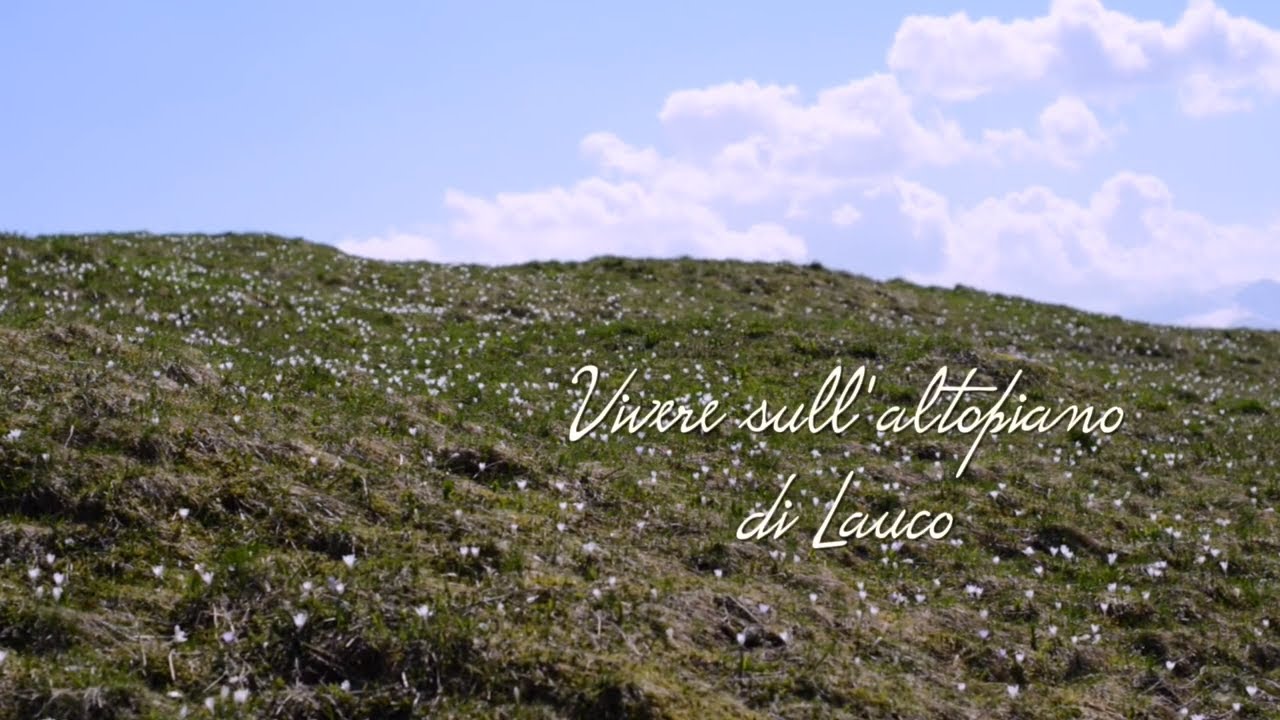 Vivere sull'altopiano di Lauco #stefanomorandini #carnia #friuliveneziagiulia