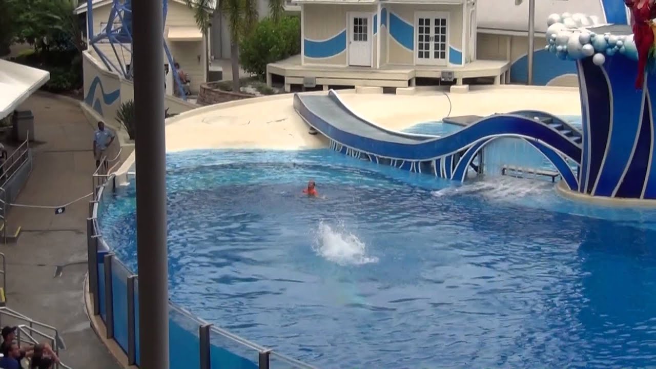 OUR 2012 FLORIDA HOLIDAY. SEAWORLD VIDEO SPECIAL. BLUE HORIZONS