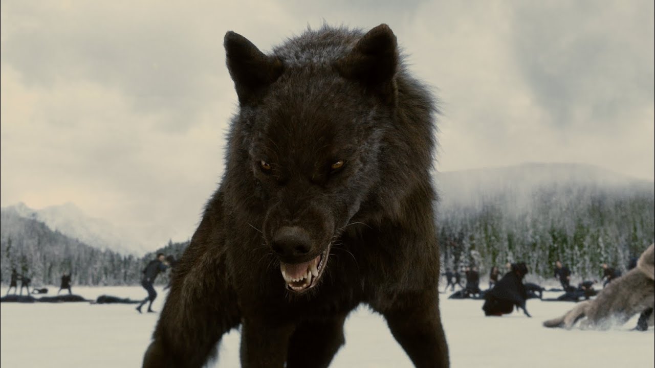 Twilight wolves - Not Today (BTS)