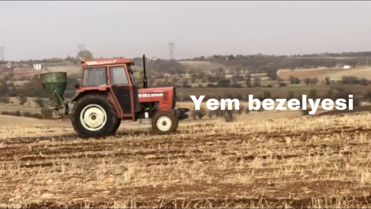Fır fır ile Yem bezelyesi ekiyorum