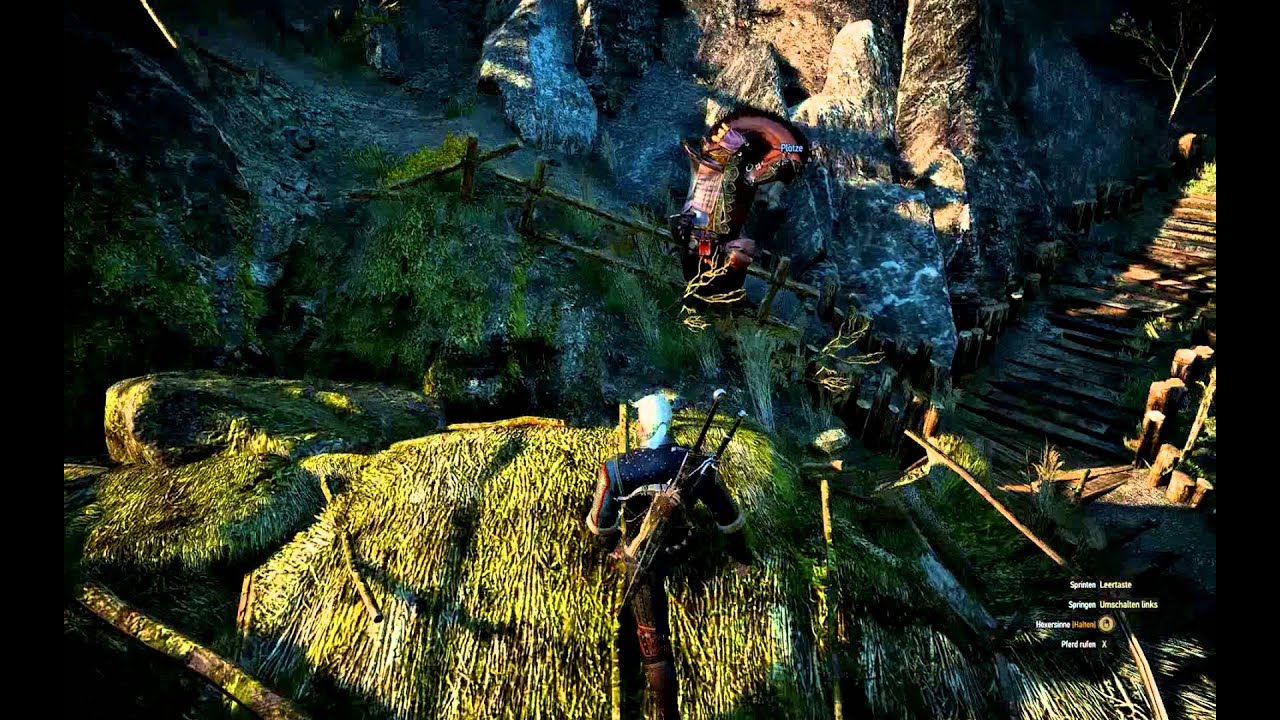 The Witcher 3 - Lustiger Pl&ouml;tze Bug