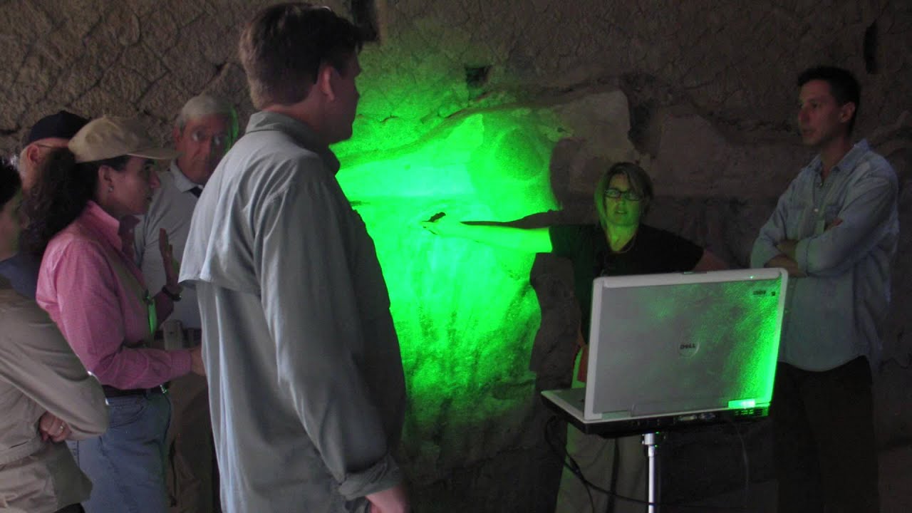 Laser Speckle Interferometry for Conservation Science