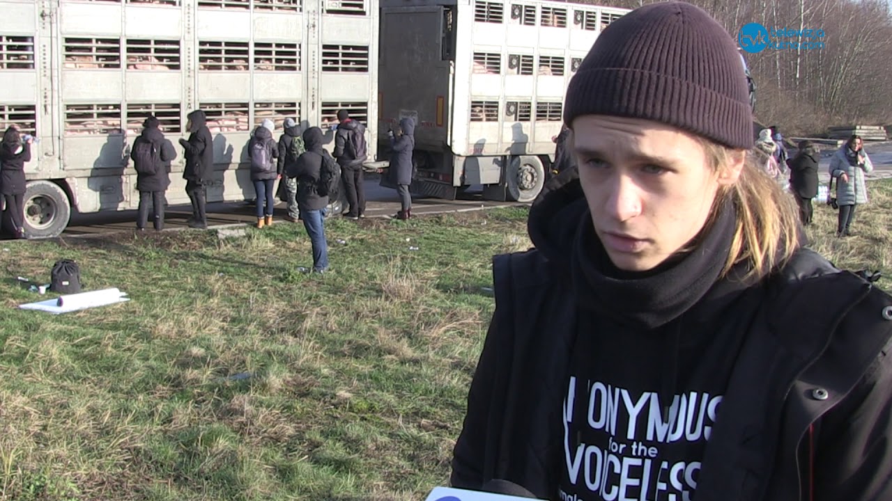 Weganie pod kutnowską ubojnią