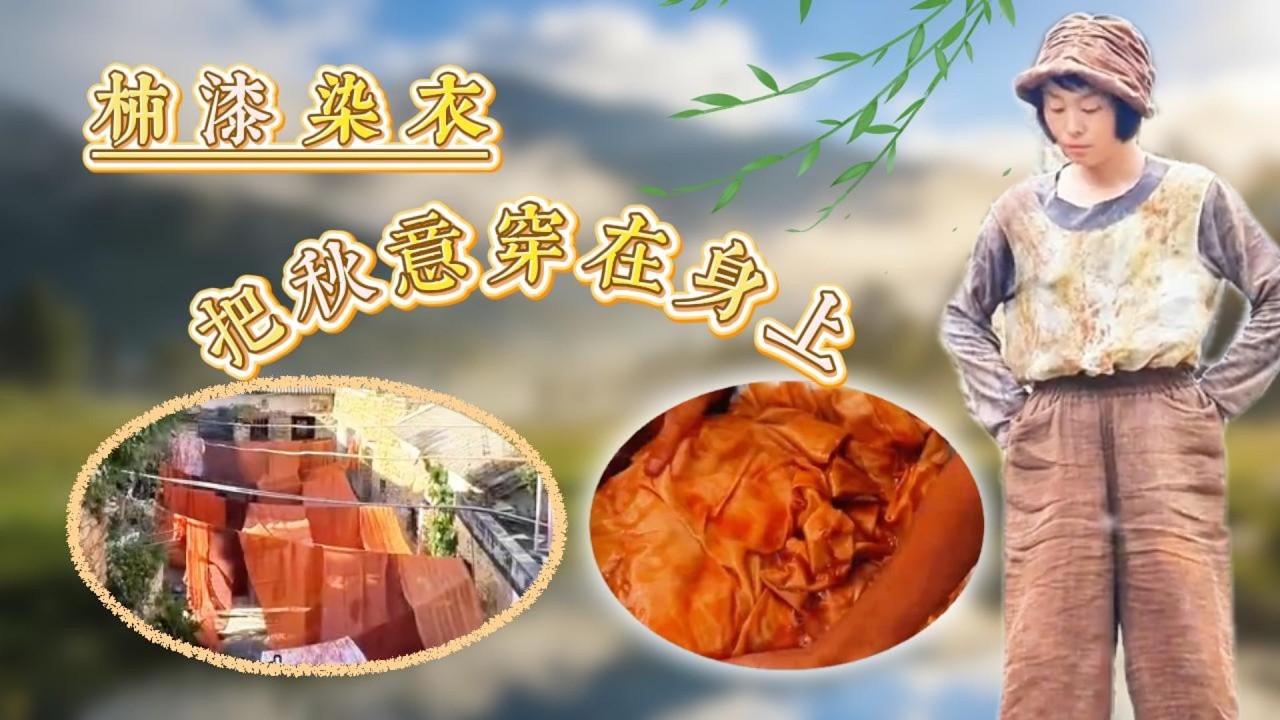 天然柿漆老技藝！柿染衣裳竟比大牌還靚麗～
