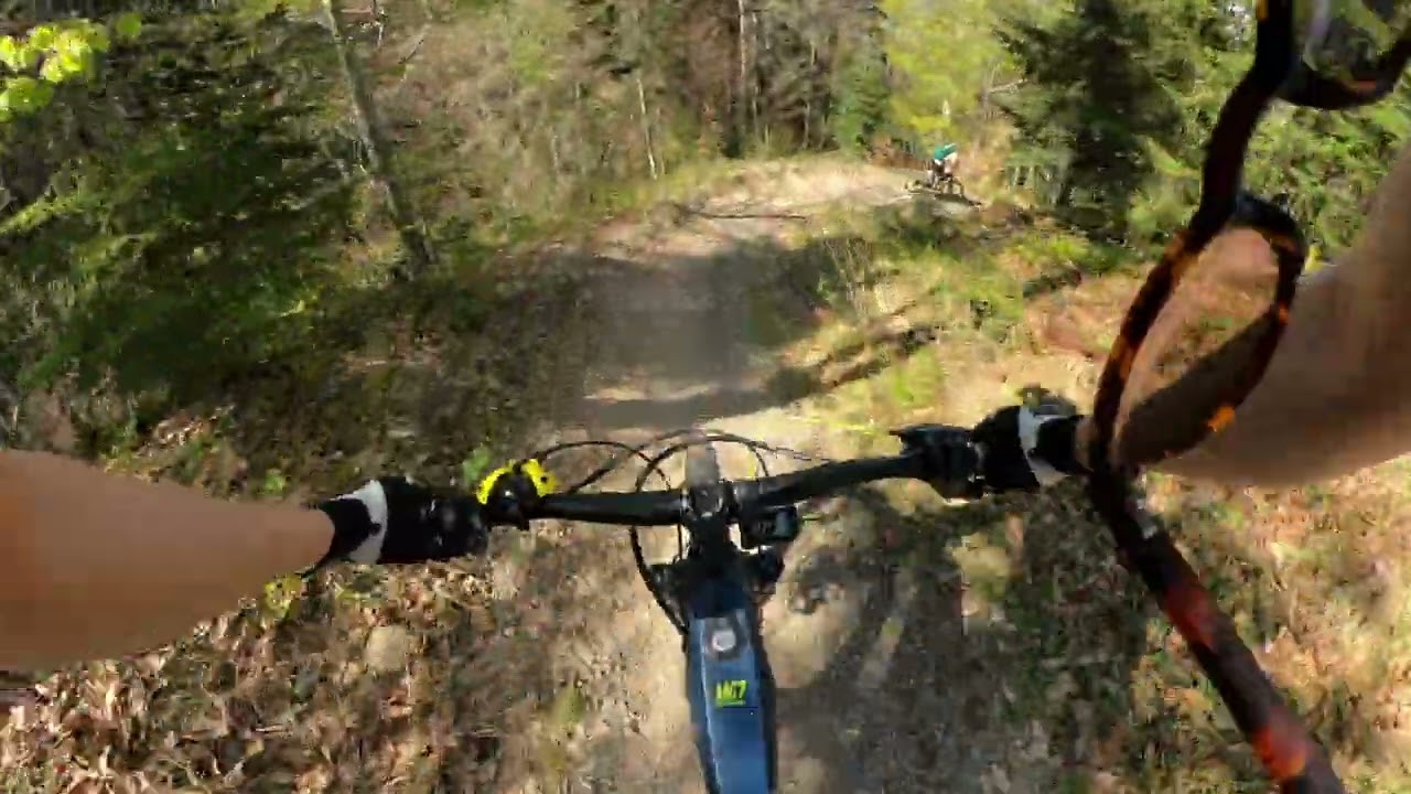 Schweinestberg Trail