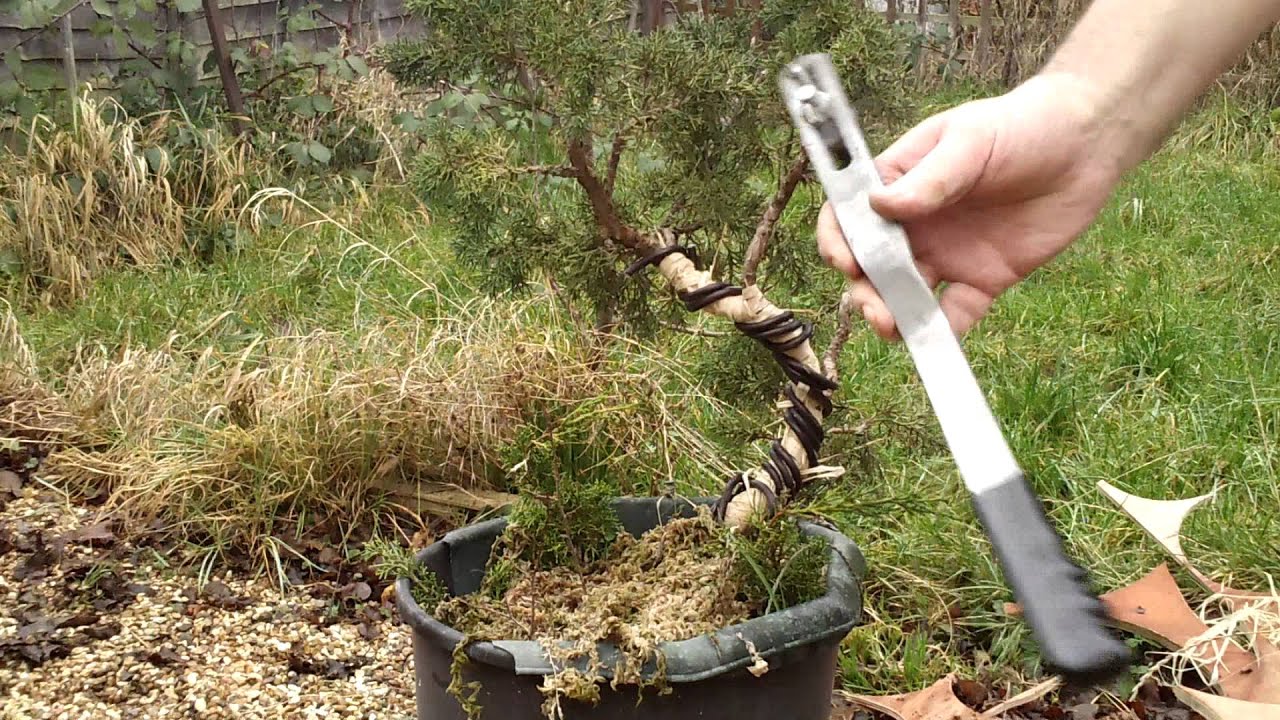 Branch Bender