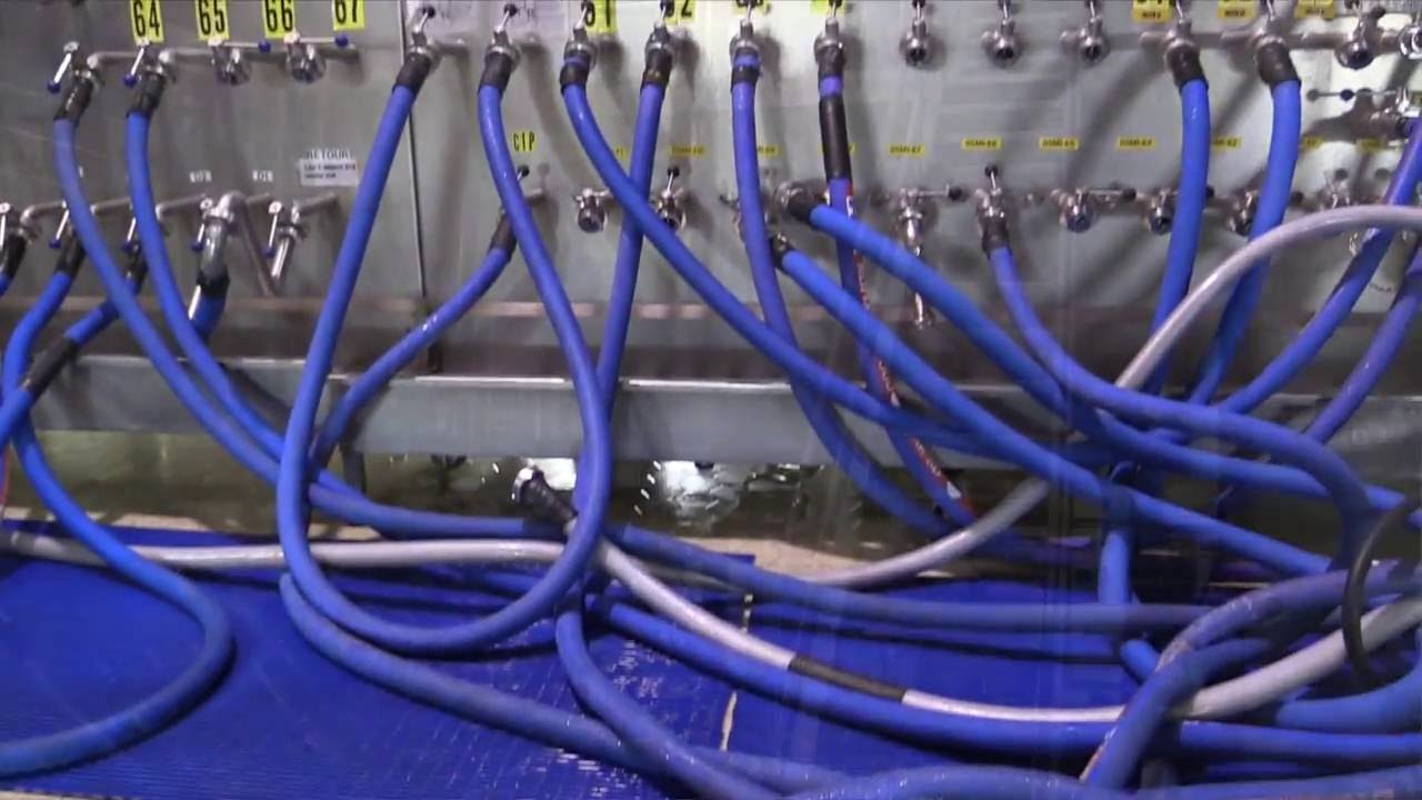 Ice Cream Producer Relies on Mouvex Pumps