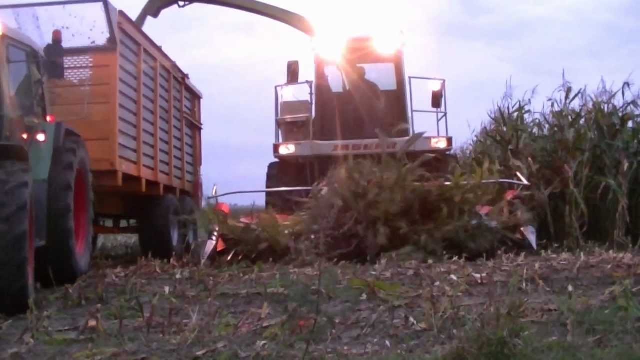 Zwiastun Koszenia KUKUrydzy 2012