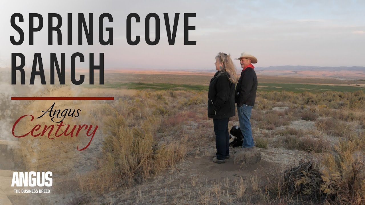 Meet Spring Cove Ranch, 2019 Century Award Winners
