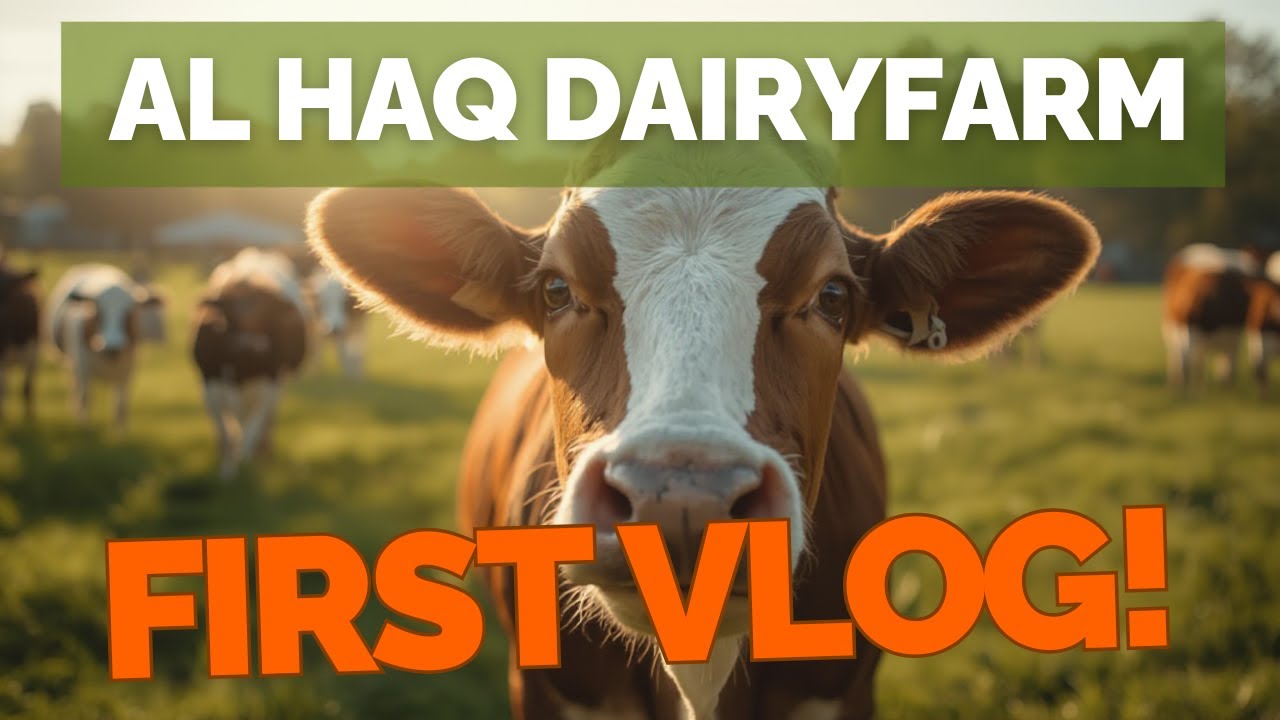 Urban Living Meets Farm Life 🐄 | Al-Haq Farms