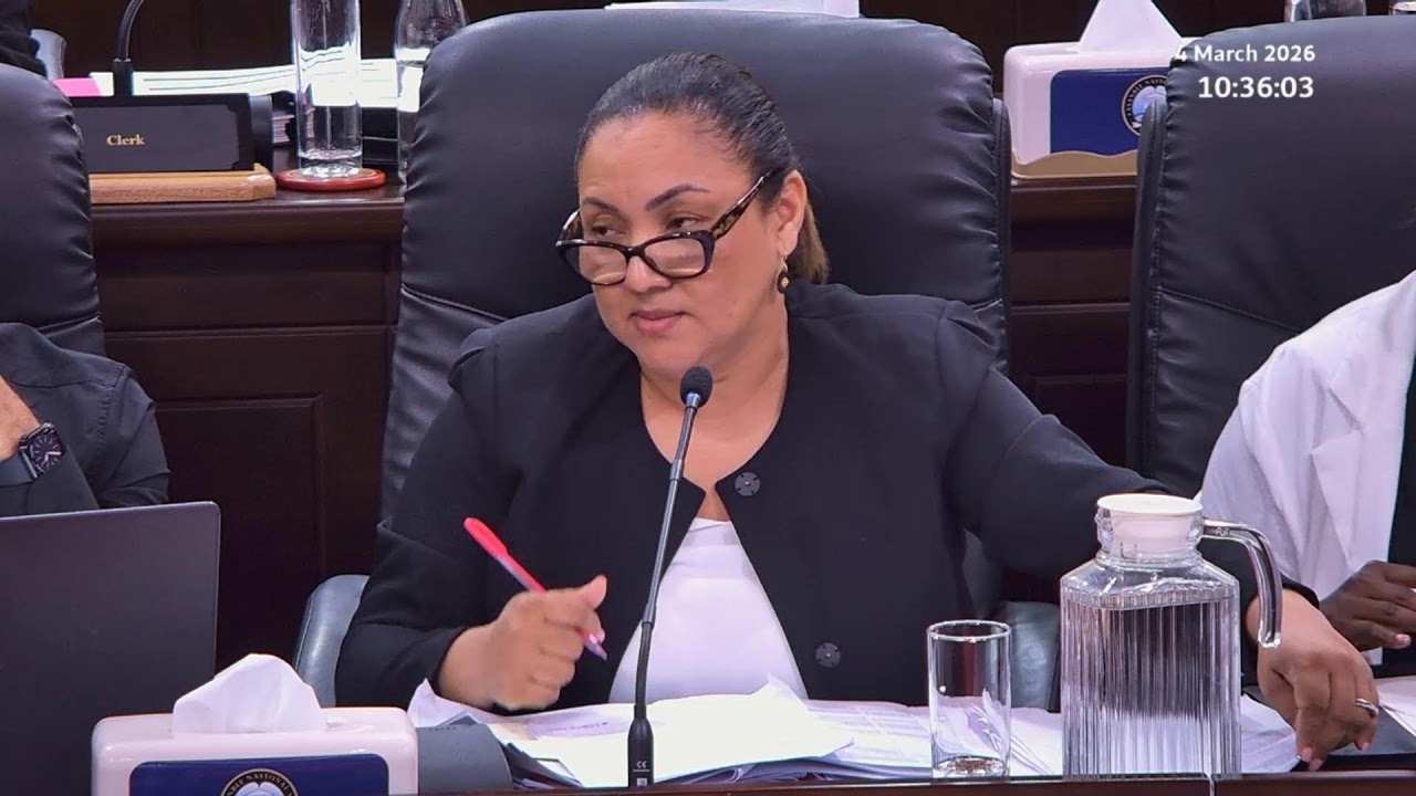 Budget 2026 Committee Stage - Sitting Wednesday 4 March 2026 Part 1